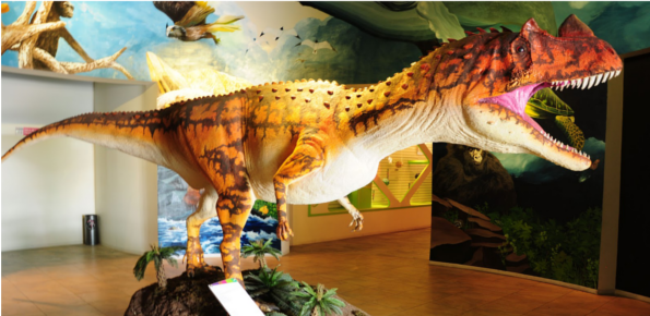 Museo De Historia Natural